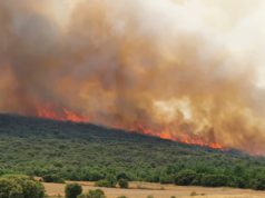 Importante incendio en la localidad de Colina, en la Junta de Traslaloma