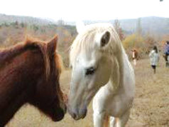 La Asociación de animación sociocultural Tejiendo Redes organiza tres cursos en su nueva sede de Quintanilla Santa Gadea