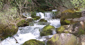 NACIMIENTO DEL CADAGUA