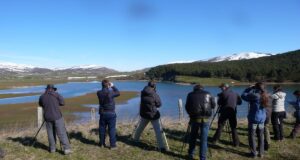 SENSORIAL MERINDADES