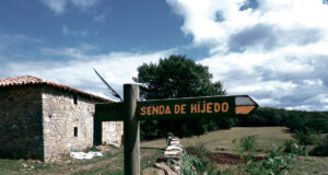 MONTE HIJEDO