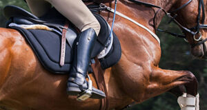 CENTRO ECUESTRE MEDINA