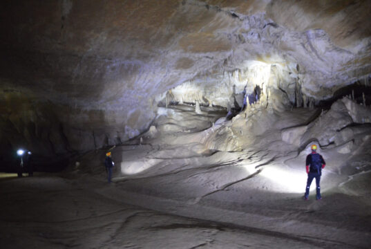 Villarcayo acogerá en junio las XLIII Jornadas Científicas de la SEDECK
