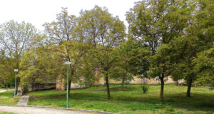 PARQUE DE NTRA. SRA. DEL ROSARIO