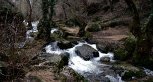 SUMIDERO DEL GUAREÑA