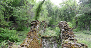 LOBERA DE CASTROBARTO