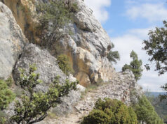 DESFILADERO DE LOS TORNOS