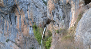 TARTALÉS DE LOS MONTES