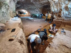 Voluntariado arqueológico: laboratorio de lavado y cribado de sedimentos arqueológicos en la cueva de Prado Vargas