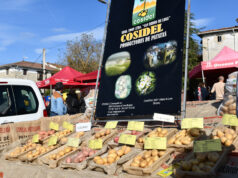 Miles de personas se han acercado hasta Quincoces de Yuso para disfrutar de un bonito día de Feria
