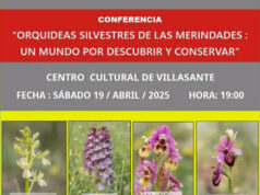 VILLASANTE – CONFERENCIA SOBRE ORQUIDEAS SALVAJES