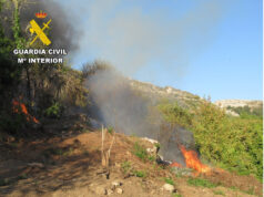 La Guardia Civil pone a disposición judicial a una persona por el incendio forestal en Alfoz de Bricia