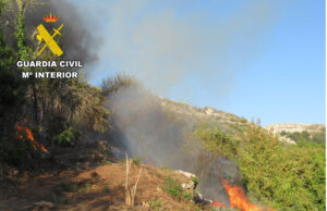 La Guardia Civil pone a disposición judicial a una persona por el incendio forestal en Alfoz de Bricia