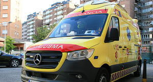 Herido tras impactar contra un jabalí en el Valle de Mena