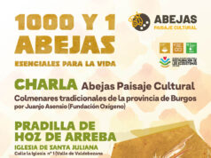 Pradilla de Hoz de Arreba acoge la exposición “1000 y 1 abejas: esenciales para la vida” durante esta Semana Santa