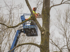 Medina de Pomar pone en marcha el plan de recuperación del parque de “La Chopera”