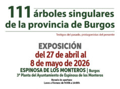 Los monumentos vivos de Burgos hacen parada en Espinosa de los Monteros