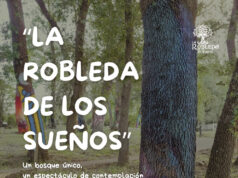 “La Robleda de los sueños”, en el Museo Histórico de Las Merindades