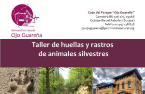 La Casa del Parque del Monumento Natural de Ojo Guareña acoge un taller infantil sobre huellas y rastros de fauna silvestre