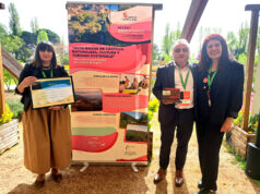 Raíces de Castilla, reconocida en los premios fuentes claras 2025 por su apuesta por el turismo sostenible