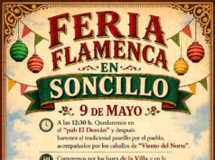 Feria Flamenca en Soncillo