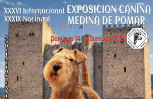 Medina de Pomar – Programación junio