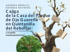 Casa del Parque de Ojo Guareña – Grandes árboles, grandes historias