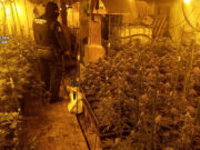La Guardia Civil desarticula una macroplantación indoor de marihuana en el Valle de Mena